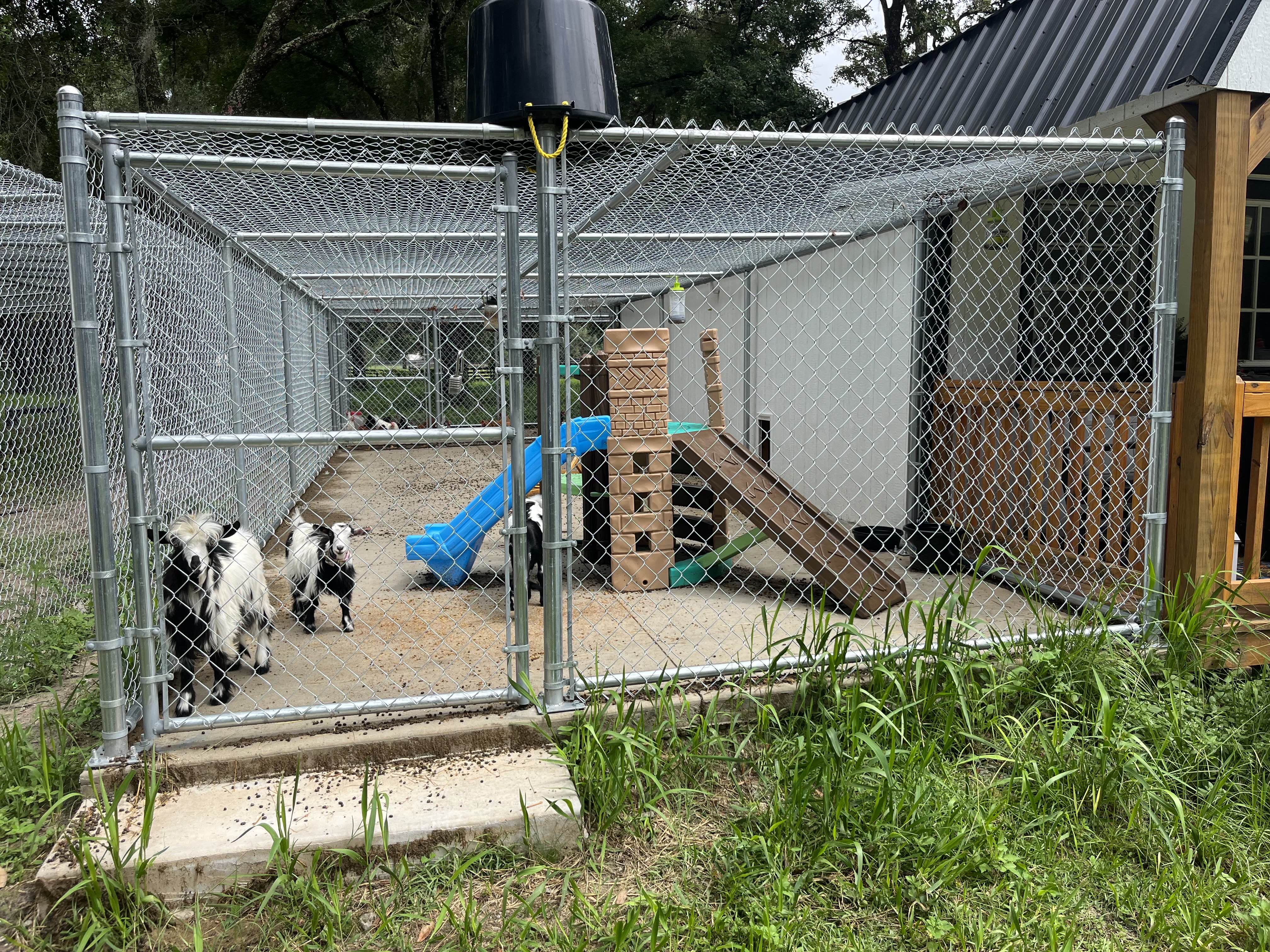 Custom Fence Project